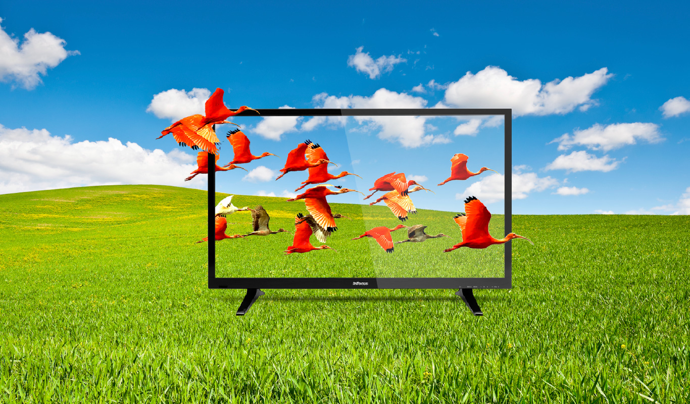InFocus LED TVs now also in 40″ – exclusively on Flipkart